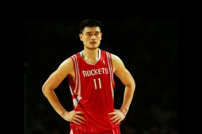 开云网址-李娜表示未来可能执教青少年队伍，李娜老师资料