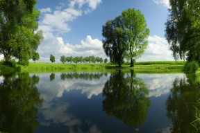 开云体育官方网站-“英超战火不断，夺冠队伍展开新一轮角逐”，英超争冠