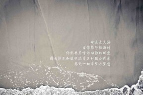 KAIYUNAPP-明星嘉宾助阵，为比赛增添亮色，明星助阵宣传文案