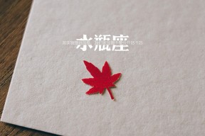 开云官网入口-乡村特色高山滑雪，雪域奇观让人心醉，高山滑雪魅力